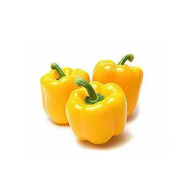 yellow-capsicum-15-gm-300-gm হলুদ ক্যাপসিকাম (Yellow Capsicum) - Image 1